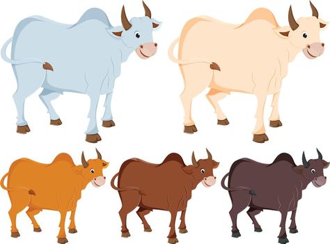 Ox Cartoon Five colour set Ox Cartoon, Colour Set, Ox, Color Set, Vector Art, Vector Free, This Is Us, Royalty Free, Clip Art