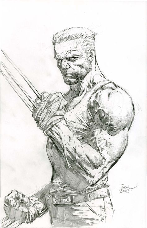 Wolverine Character, Wolverine Comic Art, Old Man Logan, Comic Art Sketch, David Finch, Wolverine Comic, Comic Book Drawing, Wolverine Art, The Wolverine