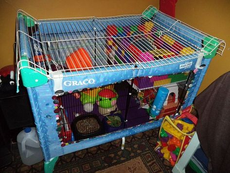 ratty playpen - best idea ever! Rat Playpen, Ferret Playpen, Kitten Playpen, Ferret Ideas, Ferret Diy, Pet Rat Cages, Rat Care, Ferrets Care, Pets Stuff