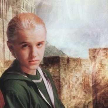 Harry and Draco Pfp Harry Potter, Draco Pfp, Draco Malfoy Pfp, Draco Malfoy Icon, Harry And Draco, Hogwarts Houses, Ron Weasley, Harry Potter Art, Draco Malfoy