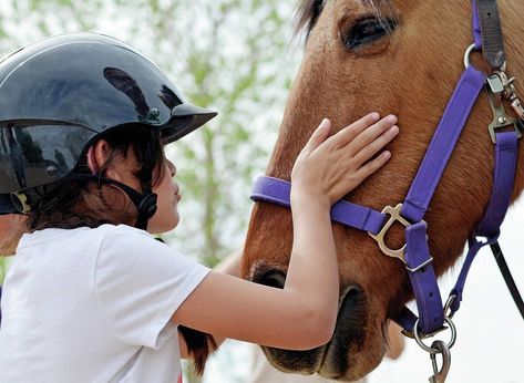 Therapeutic Riding, Equine Therapy, Horse Therapy, Riding Lessons, Special Needs, A Horse, Local News, The School, Stables