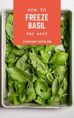 How To Freeze Basil, Storing Fresh Basil, Storing Basil, Preserving Basil, Freezing Fresh Herbs, Preserve Fresh Herbs, Fresh Basil Recipes, Store Fresh Herbs, Dried Basil Leaves