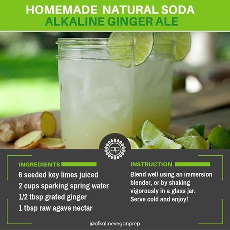 Ditch the toxic soda, and make your own alkaline ginger ale! 🌿💚 Follow @alkalineveganprep for everything alkaline vegan and wholistic 🌿💚 Dr Sebi Alkaline Diet, Alkaline Smoothie, Dr Sebi Recipes Alkaline Diet, Alkaline Diet Benefits, Dr Sebi Alkaline, Dr Sebi Alkaline Food, Dr Sebi Recipes, Banana Apple Smoothie, Alkaline Vegan