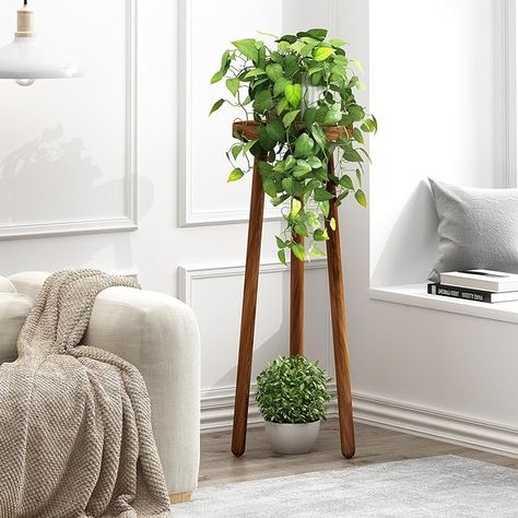 Amazon.com: JOLLYMER 11.8" Round 30" Tall Wood Plant Stand | Teak Wood Accent Stool | Accent Table |Side Table : Patio, Lawn & Garden Tall Plant Stand Indoor Wood, Small Plant Stand, 45-50” Tall Plant Stands, Accent Stool, Wood Plant Stand, Wood Accents, Small Plants, Teak Wood, Plant Stand