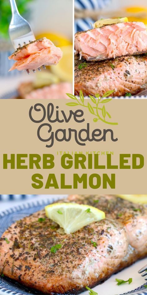 Best Grilled Salmon Recipe, Grilled Salmon Recipe, Herb Salmon, Copycat Olive Garden, Olive Garden Recipes, Low Calorie Soup, Grilled Salmon Recipes, Seafood Boil Recipes, Delicious Dips Recipes