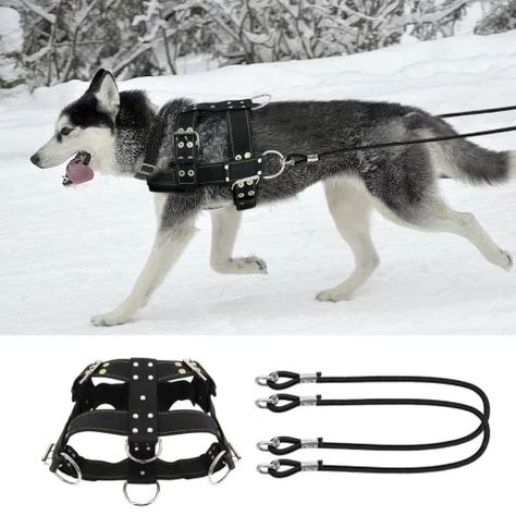 Sled Dog Harness, Dog Pulling Harness, Dogs German Shepherd, Dog Equipment, Service Dog Vests, Dog Weight, Cat Harness, Dog Agility, Cat Carrier