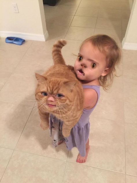 Cat Looks Pretty Though Face Swap Fails, Vampire Child, Funny Face Swap, Tierischer Humor, Funniest Snapchats, Laughing Funny, Sassy Cat, Face Swaps, Animale Rare