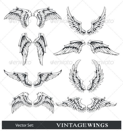 Vector set of wings by Vecster Vector set of wings. All elements are grouped.ALL TEXT IS CURVE ! Dibujos Tattoo, Angel Wings Tattoo, Wing Tattoo, Wings Art, Vintage Decoration, Celtic Tattoos, Wings Tattoo, Skull Tattoos, Trendy Tattoos