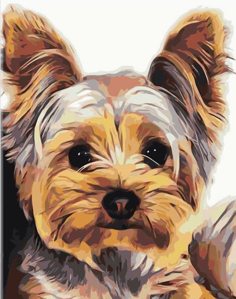 Yorkie Painting, Dog Sketches, Water Based Acrylic Paint, Diy Oils, Companion Dog, Color By Numbers, Work With Animals, Oil Painting Flowers, Paint By Numbers