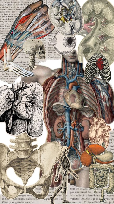 Wallpaper Anatomy, Nursing Wallpaper, Teacher Wallpaper, Medical Drawings, Body Functions, Halloween Costumes 2022, Forensic Anthropology, Medical Quotes, Nursing School Motivation