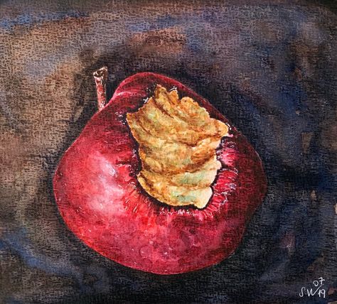 Excited to share this item from my #etsy shop: Apple watercolor painting,red apple,kitchen art,watercolor still life Rotting Fruit Painting, Rotten Apple Painting, Rotting Apple Drawing, Decay Art A Level, Decaying Fruit Art, Rotting Fruit Art, Apple Fruit Art, Decaying Art, Growth And Decay Art