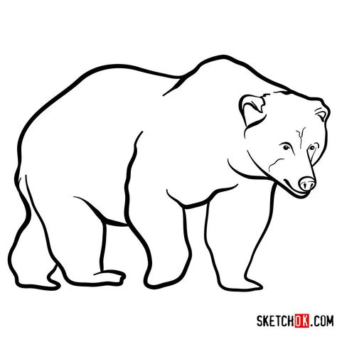 How to draw a Brown bear | Wild Animals Bear Front View, Draw A Polar Bear, Wild Animals Drawing, Photo Ours, Paw Drawing, Bear Sketch, Easy Drawing Guides, Animal Outline, Drawing Guides