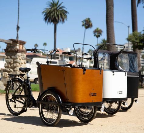 Biking with Kids: The 16 Best Family Cargo Bikes Electric Cargo Bike, Family Bike, Cargo Rack, Local Farmers Market, Cargo Bike, Electric Bikes, Bike Run, Bikes For Sale, Roll Cage