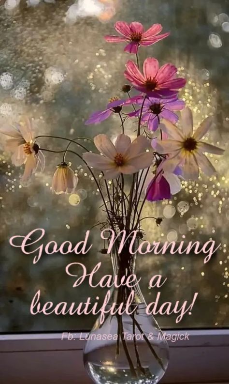 Good Morning Spring Images, Good Morning Sister, Prayer Signs, Good Morning Greeting Cards, Good Morning Funny Pictures, Daily Greetings, Good Morning Sunshine Quotes, Good Morning Inspiration, Daily Blessings