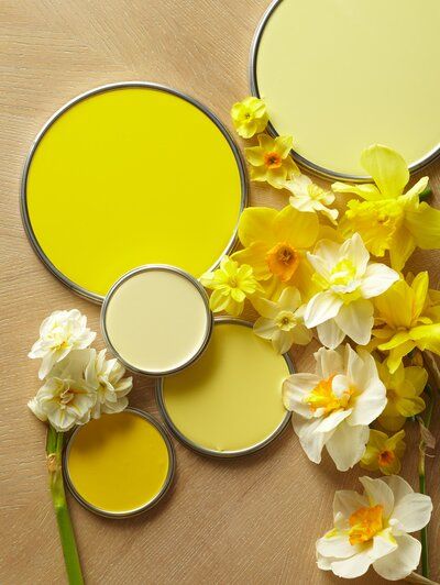 The Best Yellow Paint Colors to Brighten Up Your Home Soft Yellow Paint Colors, Best Yellow Paint Colors, Warm Yellow Paint Colors, Yellow Bedroom Paint, Pale Yellow Paints, Yellow Bedroom Walls, Yellow Ceiling, Yellow Paint Colors, Paint Color Inspiration