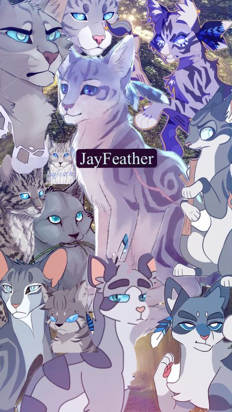 #Jayfeather#warriorcat #warriors #warriorcats Jayfeather X Stick, Jayfeather Fanart, Warriors Aesthetic, Jayfeather Warrior Cats Fanart, Warrior Cats Wallpaper Jayfeather, Warrior Cats Jayfeather And Half Moon, Warrior Cats Jayfeather, Graypillow Warriors Jayfeather, Warrior Cats Goosefeather