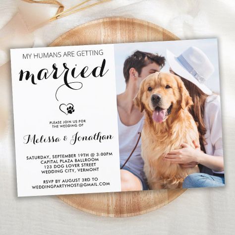 Funny Wedding Invitations from Zazzle Digital or Printed, Budget and Premium Wedding Invitation With Dog, Dog Save The Date, Dog Wedding Invitations, Dog Engagement Announcement, Incorporating Dogs In Wedding, Wedding Ideas Dog, Save The Date Dog, Dog Of Honor Wedding, Dog Friendly Wedding