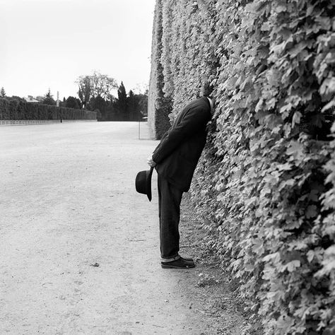 The Rodney Smith Estate on Instagram: “Keeping a safe distance over here. Stay well everyone! . “Jonah with Head in Hedge, No. 1, Vienna, Austria, 1998”” Surrealism Fashion, James Nachtwey, Antonio Gramsci, Tina Modotti, Rodney Smith, Andre Kertesz, Odilon Redon, René Magritte, Alfred Stieglitz