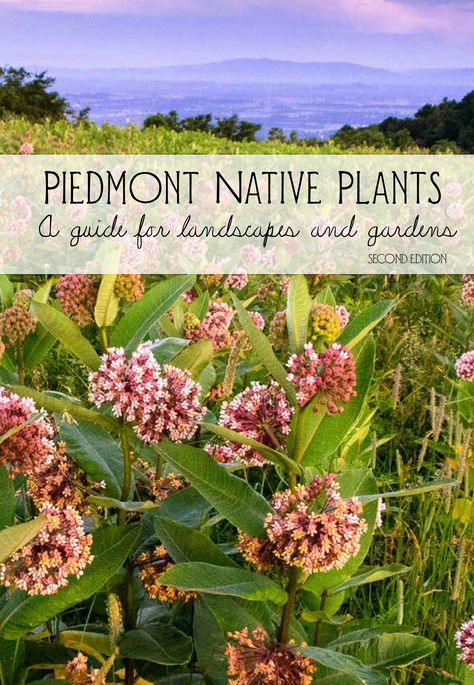 Native Plants for Northern Piedmont — Plant Virginia Natives Native Landscaping, Native Plant Landscape, Soil And Water Conservation, Food Web, Plant Guide, Native Garden, Climate Action, Water Resources, Types Of Plants