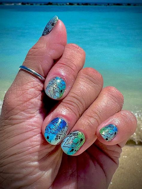 Missy Robinson's Color Street Party | Can’t stop staring 👀 Color Street Party, Haku Lei, Street Party, Street Nails, Stop Staring, Color Street Nails, Color Street, Polished Look, Nail Ideas