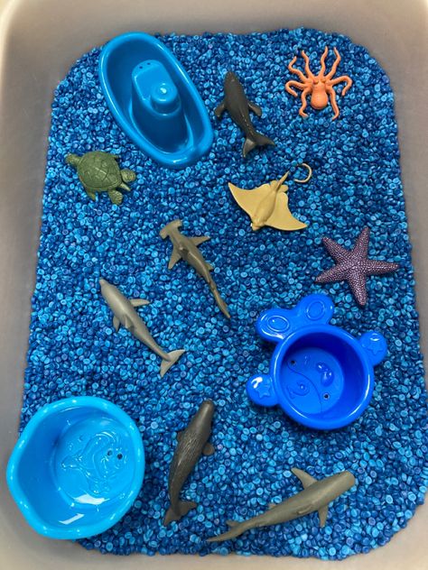 #underthesea #ocean #sensoryplay #sensoryplayactivities #sensory #toddleractivity #daycare #toddler Sea Creature Sensory Bin, Sea Life Sensory Bin, Sea Animal Sensory Bin, Sea Animals Sensory Activities, Ocean Tuff Tray Ideas, Animal Tuff Tray Ideas, Under The Sea Sensory Bin, Sea Sensory Bin, Under The Sea Sensory