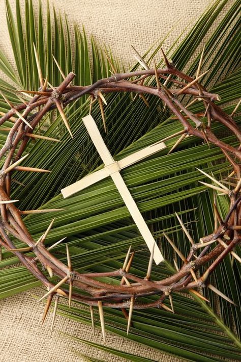 Happy Palm Sunday, Palm Sunday Decorations, Palm Sunday Crafts, Sunday Images, What What, School Week, Ideas For Easter Decorations, Ideas For Easter, Palm Sunday