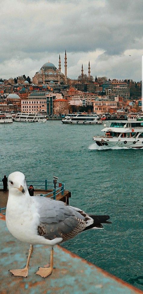 Turkey Beach, Turkish Architecture, Istanbul Travel Guide, Istanbul Turkey Photography, Nice Photography, Visit Istanbul, Georgia Vacation, Istanbul Photography, Travel Turkey