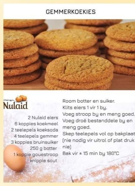 Oat Biscuit Recipe, Tea Scones Recipe, 100 Cookies Recipe, Best Tiramisu Recipe, Best Biscuit Recipe, Ginger Snap Cookies Recipe, Butter Cookie Recipe Easy, Easy Homemade Biscuits, Warm Desserts