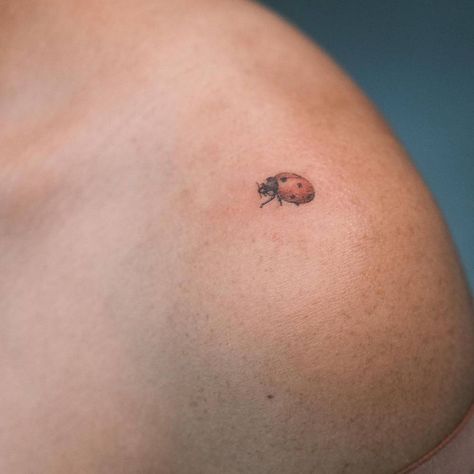 Realistic Ladybug Tattoo Black And White, Ladybug Tatoos, Bug Tattoos For Women, Dainty Ladybug Tattoo, Small Ladybug Tattoo, Tattoo Ladybug, Cartoons Design, Tattoo On The Shoulder, Ladybird Tattoo