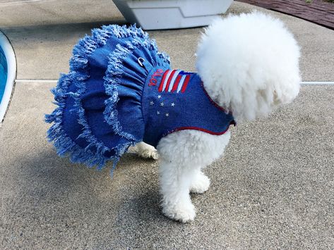 "We designed this fashionable couture blue dog denim dress using the best distressing techniques along with embroidery and other magnificent machinery. It features a Stars & Stripes Theme. A finished border has been added to the garment on the upper portions, while tufts of fringe accent the triple layer skirt hems. A beautiful whimsical American flag accents the back and your pet's name is FREE on the garment or you could order it blank without the name. D-ring for leash attachment and Velc Female Dog Clothes, Dog Dress Pattern, Dog Outfits, Fleece Dog Coat, Patriotic Dresses, Patriotic Dog, Layer Skirt, Dog Clothes Patterns, Pet Dress