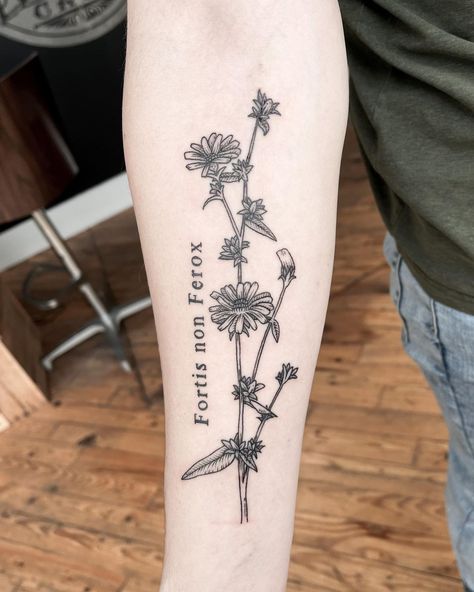 Chicory Flower Tattoo, Chicory Tattoo, Appalachian Tattoo, A Bird Tattoo, Harmony Tattoo, Floral Arm Tattoo, Aesthetic Tattoo Ideas, Fox Tattoo Design, Nature Tattoo Sleeve