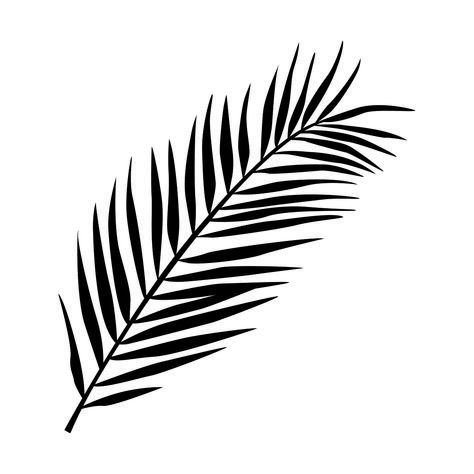 Palm Leaf SVG | Kakikoi