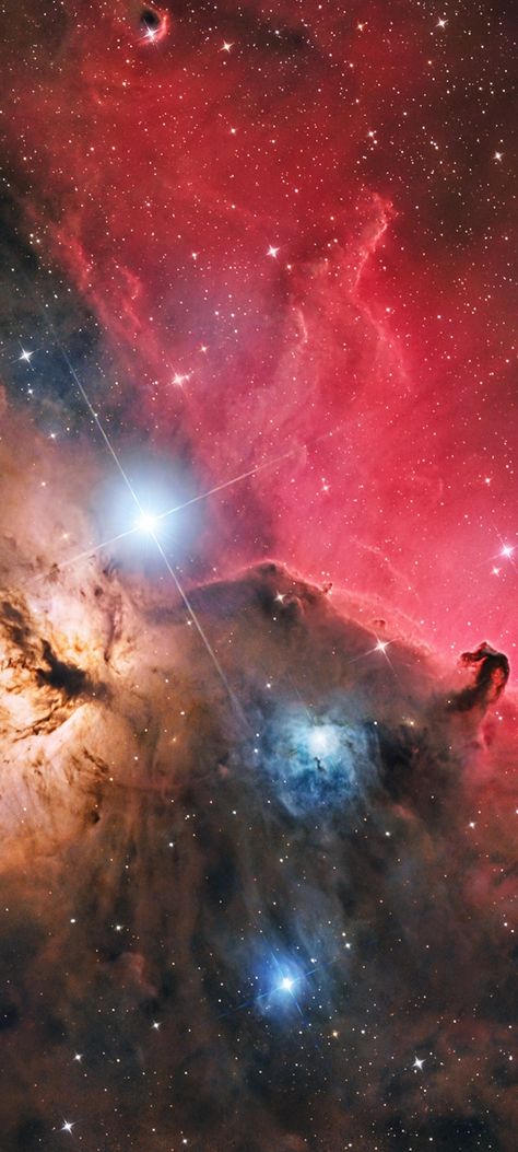 The Horsehead & Flame Nebula & Bright star Alnitak by Marzena Rogozińska cropped mobile wallpaper 1080x2400 Galaxia Wallpaper, Full Blue Moon, Space Things, Horsehead Nebula, Galaxy Aesthetic, Reality Shifting, Space Nebula, Full Blue, Galaxy Nebula