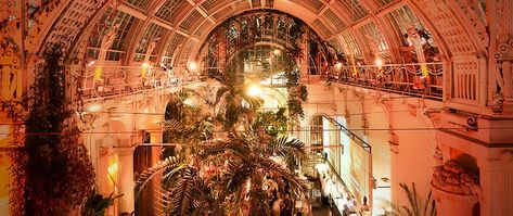 Best Bars Vienna ~ Palmenhaus Vienna Palmenhaus, Vienna Bars, Europe 2023, Night Bar, Jazz Bar, Best Bars, Cool Bars, Restaurant Bar, Vienna