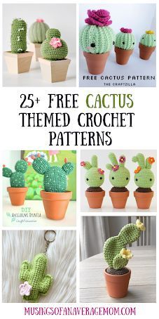 Crochet Cactus Free Pattern, Crochet Succulent, Crochet Garden, Crochet Cushion Cover, Crochet Cactus, Pola Amigurumi, Crochet Plant, Crochet Cushions, Plant Pattern