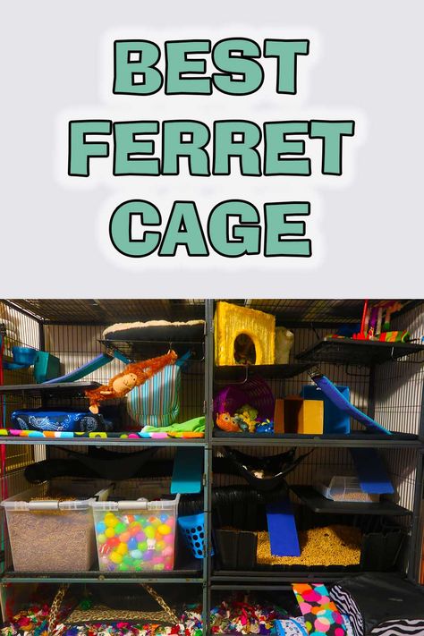 Ferret Tunnel Ideas, Ferret Cage Ideas Aesthetic, Ferret Play Area Ideas, Cute Ferret Cage Ideas, Ferret Room Ideas, Diy Ferret Stuff, Ferret Playpen, Ferret Cage Ideas, Ferret Room