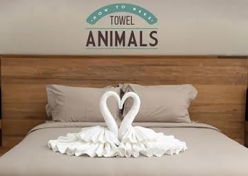 Towel Swan, Towel Origami, Black Shower Doors, Hanging Monkey, Wet Room Screens, Origami Step By Step, Walk In Shower Enclosures, Birthday Room Decorations, Towel Animals