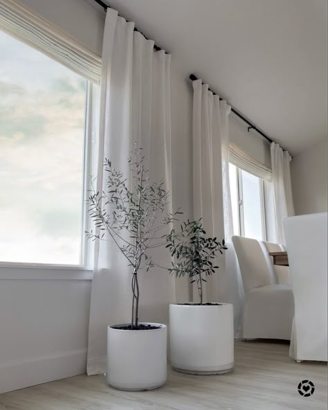 White faux linen look curtains, black rod. White ceramic pots olive tree . Wood dining table white slipcover chairs http://liketk.it/32Py0 #liketkit @liketoknow.it #LTKhome #LTKunder50 #LTKunder100 @liketoknow.it.home Shop your screenshot of this pic with the LIKEtoKNOW.it shopping app Black Curtain Pole White Curtains, White Curtain Black Rod, Black Rod Curtains, Curtains Lounge Room, White Curtains With Black Rod, Dining Room Blinds And Curtains, White Wood Blinds With Curtains, Black Curtain Rods With White Curtains, Rod Curtains Ideas Living Rooms