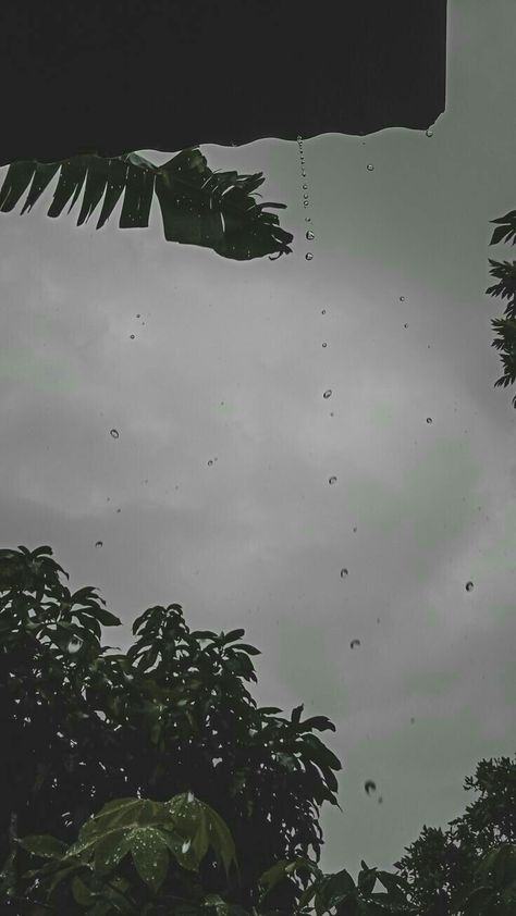 Rain Pictures, Fall Landscape Photography, Rain Wallpapers, Sky Photography Nature, Emotional Photography, Creative Instagram Photo Ideas, Aesthetic Photography Nature, Rain Photography, Cool Pictures Of Nature