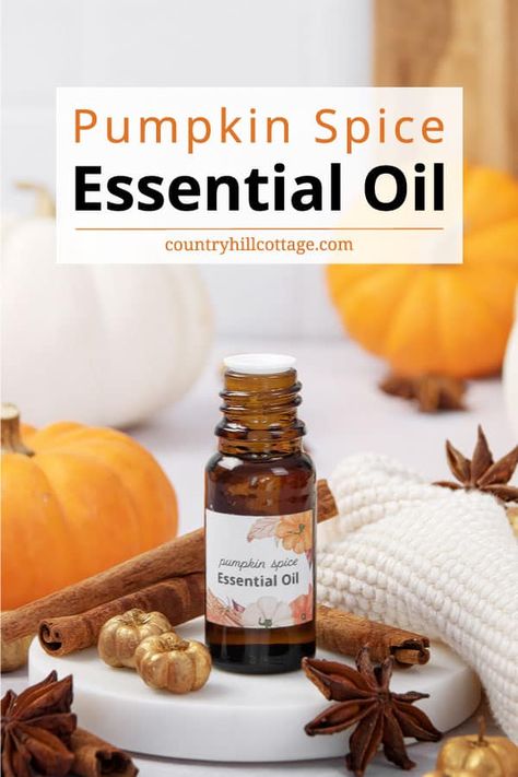 Cuticle Oil Diy, Pumpkin Essential Oil, Pumpkin Spice Essential Oil, Diy Skincare Products, Diy Pumpkin Spice, Essential Oil Perfumes Recipes, Bath Powder, Homemade Pumpkin Spice, Spice Mix Recipes