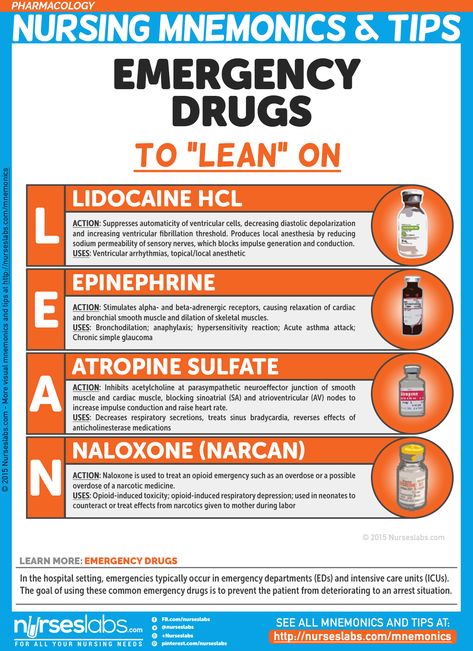 Emergency Drugs to “LEAN” on Nursing Mnemonics and Tips: http://nurseslabs.com/pharmacology-nursing-mnemonics-tips/ Pharmacology Mnemonics, Paramedic School, Nursing Mnemonics, Nursing Schools, Cardiac Nursing, Pharmacology Nursing, Nursing School Survival, Critical Care Nursing, Nursing School Studying