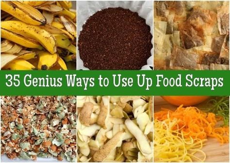 35 Genius Ways to Use Up Food Scraps Cooking Quinoa, Vegetable Scraps, Uses For Coffee Grounds, Zero Waste Kitchen, Food Scraps, Frugal Meals, Reduce Food Waste, Healthy Vegetables, No Waste