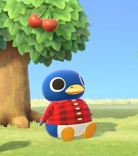 Acnh Villager Roald, Ronald Animal Crossing, Animal Crossing Pfp Aesthetic, Animal Crossing Penguin, Roald Animal Crossing, Cottagecore Animal Crossing, Animal Crossing Characters, Animal Crossing Villagers, Animal Crossing Game