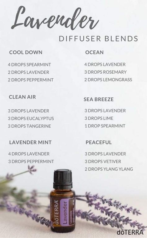 Lavender Essential Oil Uses, Lavender Oil Benefits, Simmer Pots, Lilin Aroma, Doterra Diffuser Blends, Essential Oil Combinations, Doterra Essential Oils Recipes, Essential Oil Diffuser Blends Recipes, Essential Oils Guide