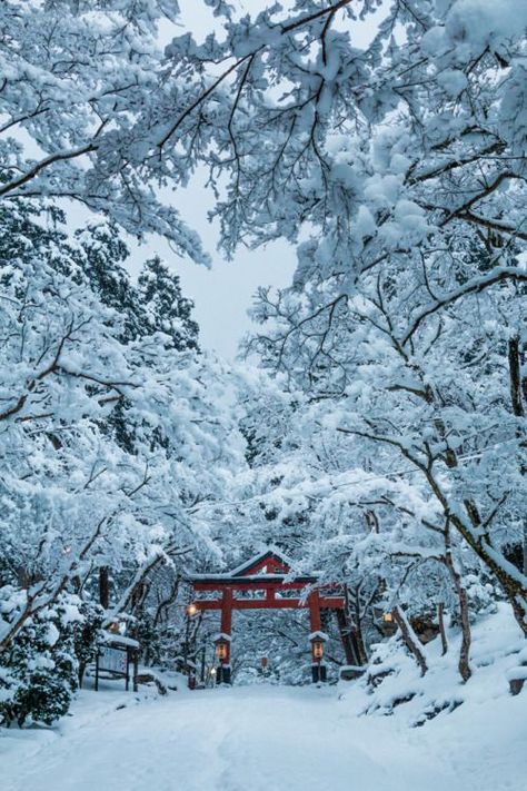 Le Japon - Japan Winter In Japan, Japan Winter, Monte Fuji, Japon Illustration, Japan Culture, Japan Aesthetic, Aesthetic Japan, Fantasy Places, Winter Scenery