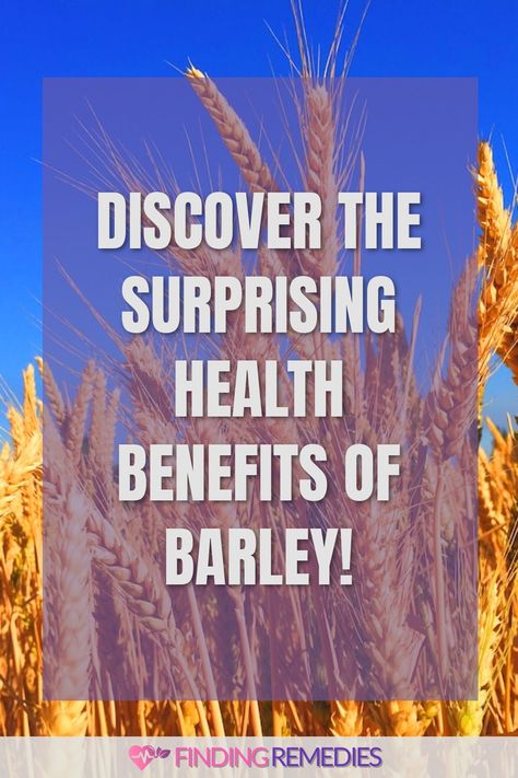 Discover the Surprising Health Benefits of Barley! Barley Health Benefits, Barley Benefits, Lowering Ldl, Fruit Health Benefits, Fruit Benefits, Asthma Symptoms, Improve Gut Health, Improve Heart Health, Fiber Rich Foods