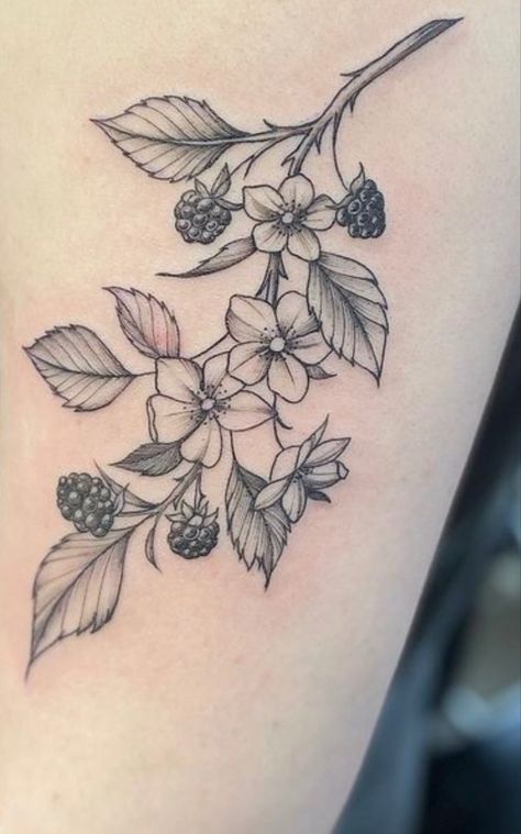 Tattoo Genou, Blackberry Vine Tattoo, Blackberries Tattoo, Grapevine Tattoo, Tattoos Man, Blackberry Tattoo, Front Shoulder Tattoos, Vine Tattoo, Accent Flowers