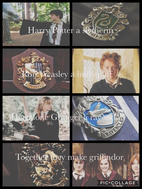 The reason people are Gryffindors is because you ask to be put in Gryffindor because Gryffindor are every house but they what to be one is to simply ask the hat. Harry Potter Sayings, Funny Harry Potter, Imprimibles Harry Potter, Dr Evil, Citate Harry Potter, Art Harry Potter, Glume Harry Potter, Harry Potter Memes Hilarious, Harry Potter Feels