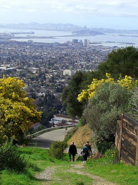 Berkeley hills firetrail hike with Tony & Jessie-4 by Palojono, via Flickr What To Do Outside, 2024 Manifestations, Richmond California, Berkeley Hills, California Zephyr, California Hikes, Berkeley California, Living In San Francisco, Fall Semester