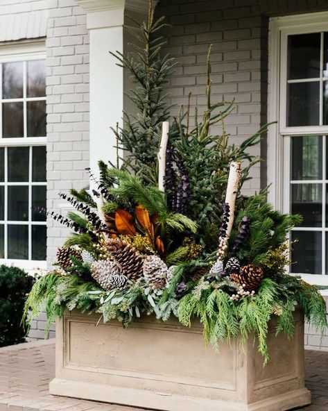 Winter Window Boxes, Fall Pots, Winter Container Gardening, Outdoor Christmas Planters, Painted Branches, Holiday Planter, Winter Planter, Window Box Flowers, Winter Window